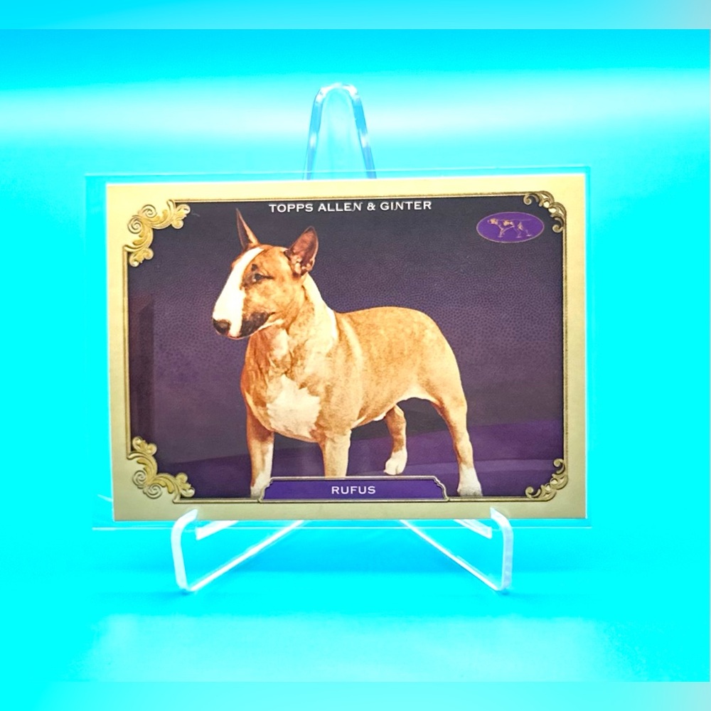2024 Topps Allen & Ginter 🔥Westminster Kennel Club🔥RUFUS! #SOS-23